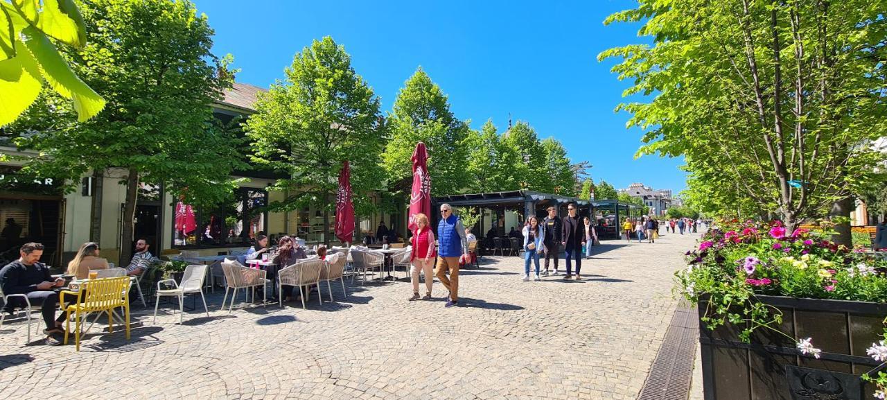 Genesis - Iasi City Center エクステリア 写真
